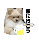 ふわりの日常すたんぷ1（個別スタンプ：35）