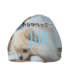 ふわりの日常すたんぷ1（個別スタンプ：36）