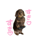 文字あり、うぬ(いぬ)のすたんぴ（個別スタンプ：9）