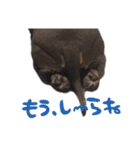 文字あり、うぬ(いぬ)のすたんぴ（個別スタンプ：12）