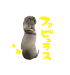 文字あり、うぬ(いぬ)のすたんぴ（個別スタンプ：23）