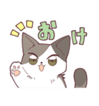 しのふじねこねこスタンプ（個別スタンプ：1）