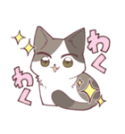 しのふじねこねこスタンプ（個別スタンプ：4）