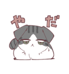 しのふじねこねこスタンプ（個別スタンプ：5）