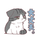 しのふじねこねこスタンプ（個別スタンプ：8）