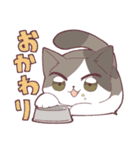 しのふじねこねこスタンプ（個別スタンプ：10）