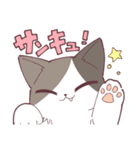 しのふじねこねこスタンプ（個別スタンプ：11）