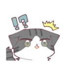 しのふじねこねこスタンプ（個別スタンプ：13）