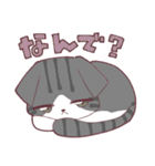 しのふじねこねこスタンプ（個別スタンプ：14）