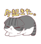 しのふじねこねこスタンプ（個別スタンプ：16）