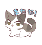 しのふじねこねこスタンプ（個別スタンプ：18）