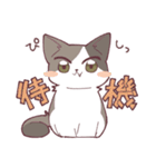 しのふじねこねこスタンプ（個別スタンプ：19）