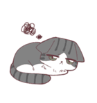 しのふじねこねこスタンプ（個別スタンプ：21）