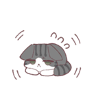 しのふじねこねこスタンプ（個別スタンプ：24）