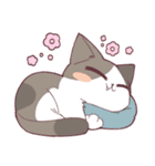 しのふじねこねこスタンプ（個別スタンプ：27）
