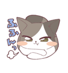 しのふじねこねこスタンプ（個別スタンプ：28）