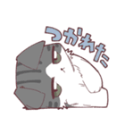 しのふじねこねこスタンプ（個別スタンプ：30）