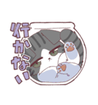 しのふじねこねこスタンプ（個別スタンプ：31）