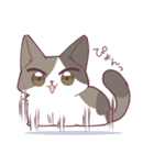 しのふじねこねこスタンプ（個別スタンプ：36）