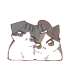 しのふじねこねこスタンプ（個別スタンプ：39）