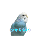 インコ「ルル」7（個別スタンプ：18）