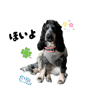 まいにちべるさん（個別スタンプ：3）