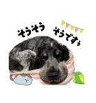 まいにちべるさん（個別スタンプ：4）