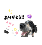 まいにちべるさん（個別スタンプ：9）