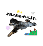 まいにちべるさん（個別スタンプ：11）