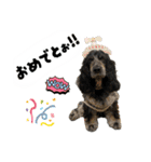 まいにちべるさん（個別スタンプ：12）