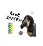 まいにちべるさん（個別スタンプ：14）