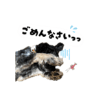 まいにちべるさん（個別スタンプ：15）