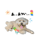 まいにちべるさん（個別スタンプ：19）