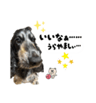 まいにちべるさん（個別スタンプ：23）