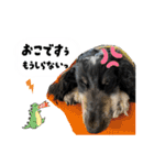まいにちべるさん（個別スタンプ：24）
