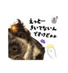 まいにちべるさん（個別スタンプ：25）