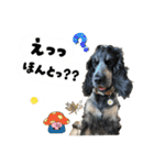 まいにちべるさん（個別スタンプ：26）
