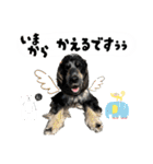 まいにちべるさん（個別スタンプ：29）