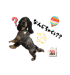 まいにちべるさん（個別スタンプ：30）