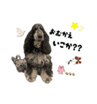まいにちべるさん（個別スタンプ：34）
