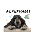 まいにちべるさん（個別スタンプ：35）
