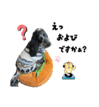 まいにちべるさん（個別スタンプ：40）
