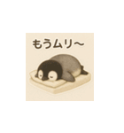 毎日使える♪リアルかわいいペンギン1（個別スタンプ：4）