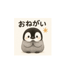 毎日使える♪リアルかわいいペンギン1（個別スタンプ：16）