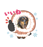 だっちゃまのスタンプ4（個別スタンプ：13）