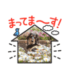 だっちゃまのスタンプ4（個別スタンプ：15）