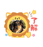 だっちゃまのスタンプ4（個別スタンプ：16）