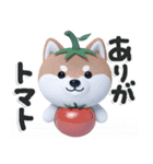 ほんわか柴犬のダジャレ♪（個別スタンプ：4）