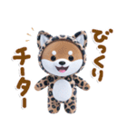 ほんわか柴犬のダジャレ♪（個別スタンプ：22）