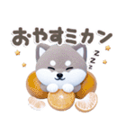 ほんわか柴犬のダジャレ♪（個別スタンプ：32）
